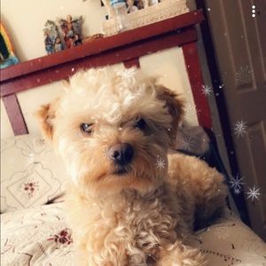 Meet your Posher, Ashley